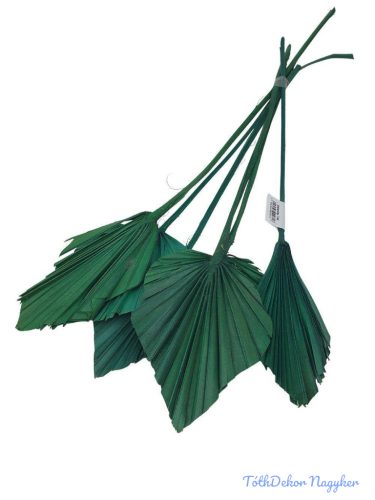 Pálma levél mini 6db/köteg - Zöld
