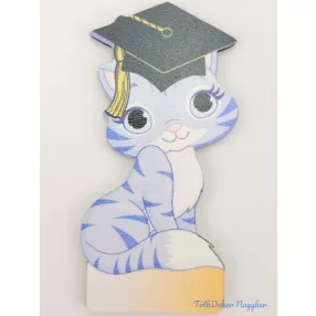 Kék cirmos cica ballagó kalapban tábla