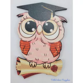 Rózsaszín cuki bagoly tábla ballagó kalapban