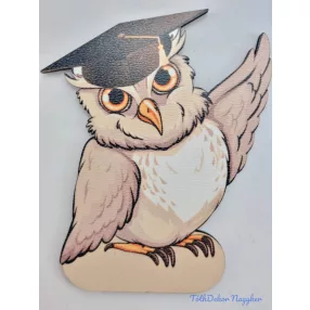 Állásos bagoly tábla ballagó kalapban