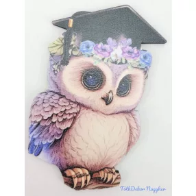 Bagoly ballagó sapis táblácska