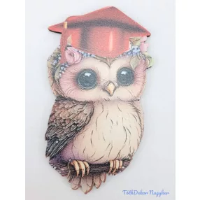 Bagoly ballagó sapis táblácska