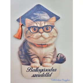 Ballagó figura 25 - Cica 1