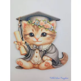 Ballagó figura 24 - Cica