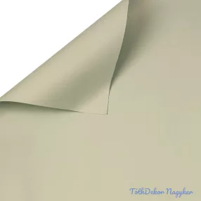   Egyszínű csomagoló dekor fólia ív 58x58cm 20db/cs - Pasztel zöld