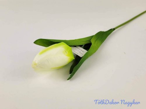 Tulipán szálas szatén 57 cm - Tört Fehér