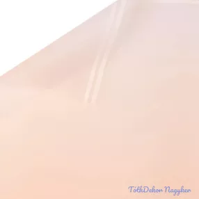   Színátmenetes fólia ív csíkos szegéllyel 57 x 57cm, 20db - Púder bézs