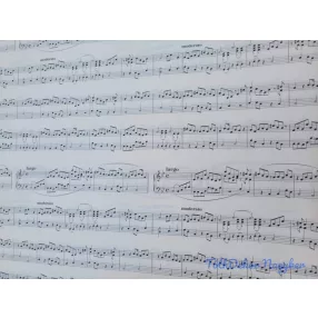 Vízhatlan mintás ív 70x100cm - Kotta Mintás - Fehér