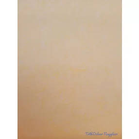 Vízhatlan mintás ív 70x100cm - Tollmintás - Krém