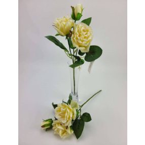 Többágú szálas rózsa